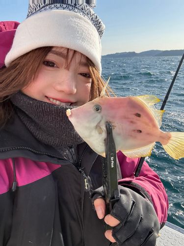 カワハギの釣果