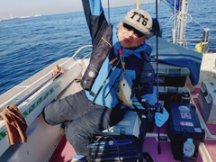 ヒガンフグの釣果