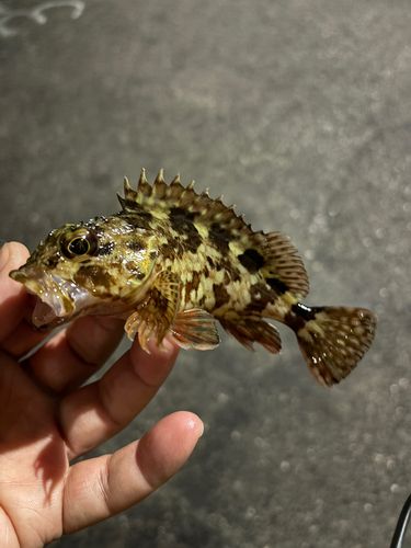 関門海峡（山口）