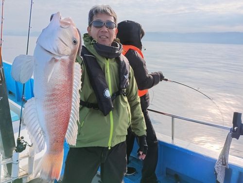 アマダイの釣果