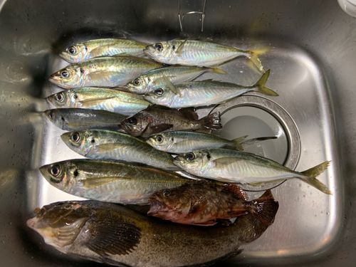 小名浜港市場前