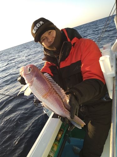 アカアマダイの釣果