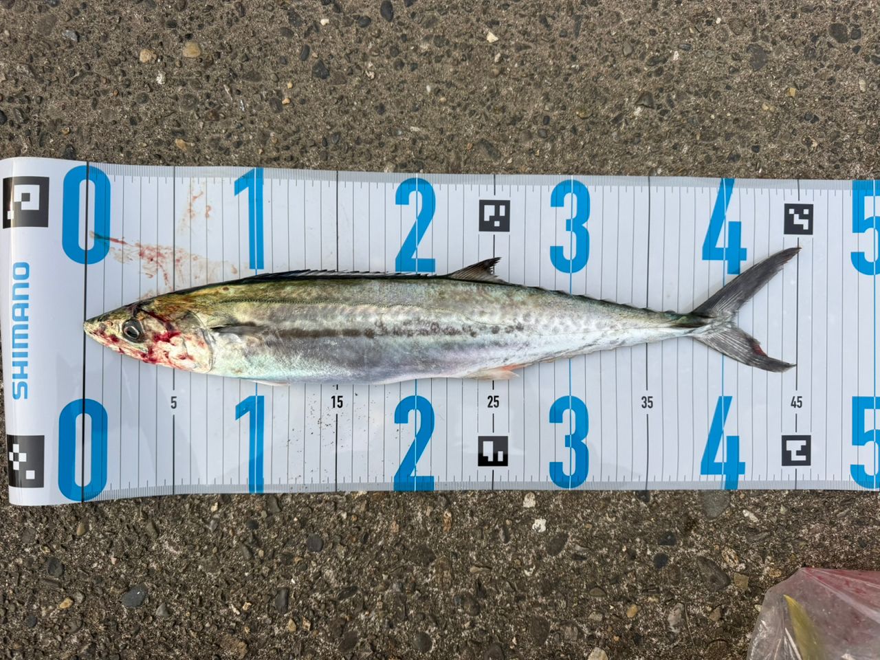 SHIMANO 20ルナミス S100MHの最安値・インプレ・釣果 | 本音の口コミが