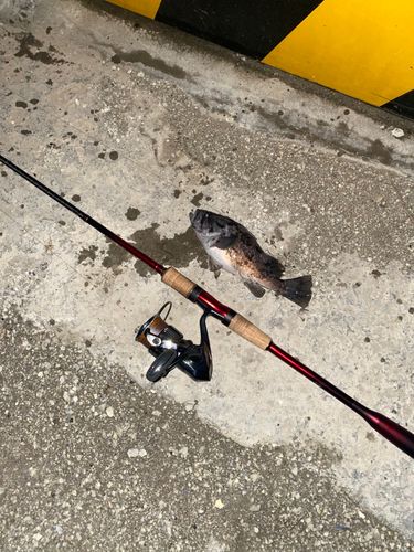 一万トン岸壁（八戸）