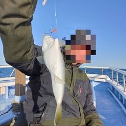 ショウサイフグ