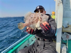 カワハギの釣果