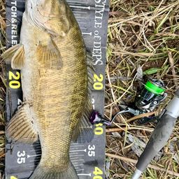 スモールマウスバス