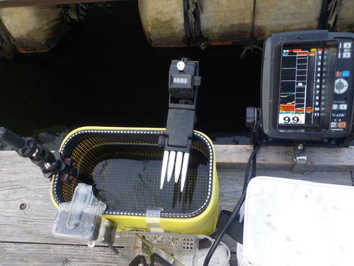 ワカサギの釣果