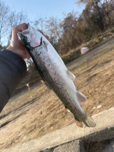 北方川釣り体験場マス釣り場