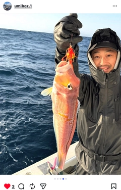 アカアマダイの釣果