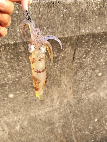 千葉港中央埠頭