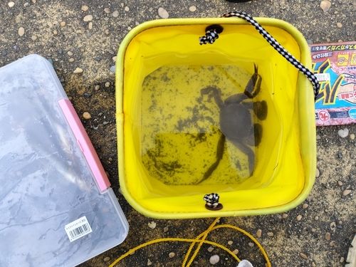 船橋港親水公園