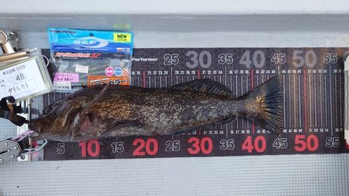 三陸海岸（岩手）