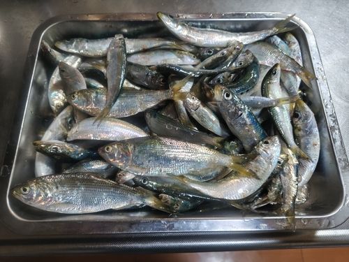 小名浜港アクアマリンふくしま周辺