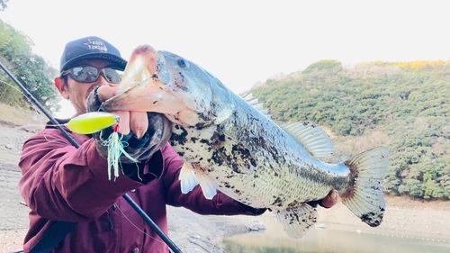 ブラックバスの釣果