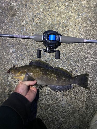 三陸海岸（青森）