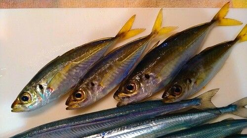 小名浜港アクアマリンふくしま周辺