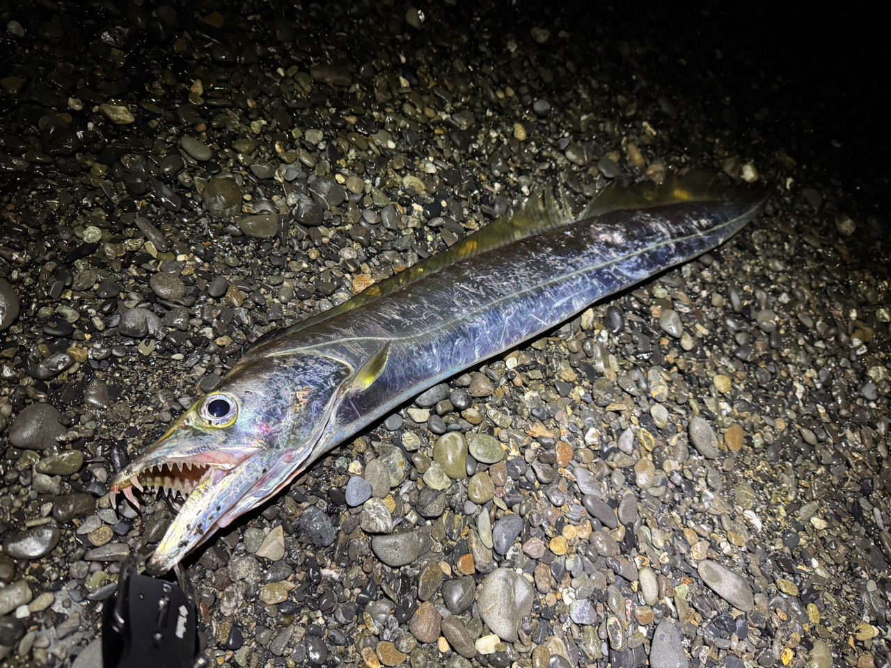 JUMPRIZE オールウェイク 109モンスターフィネスリミテッドの最安値