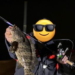 チャイロマルハタ