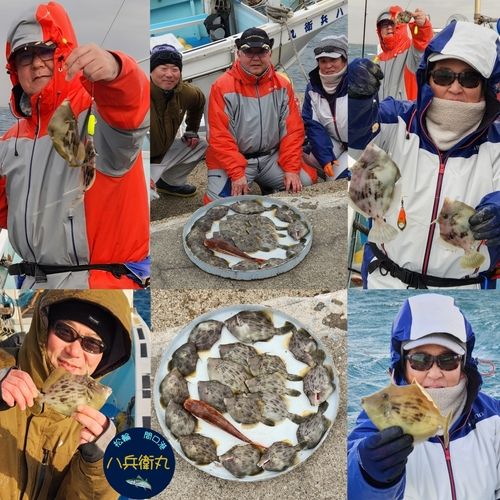 カワハギの釣果