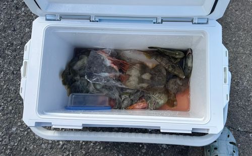 東京湾（富津〜金谷）