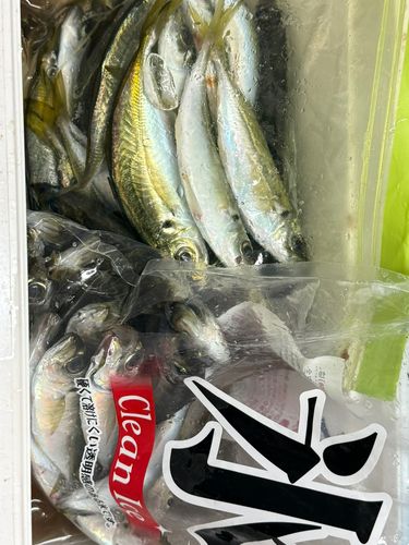 本牧海づり施設