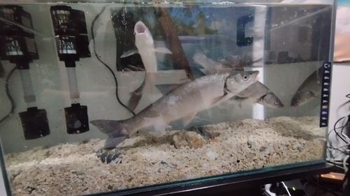 用宗広野海岸公園