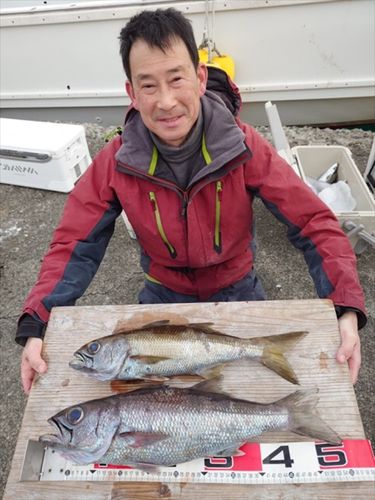 クロムツの釣果