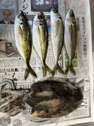 宇和海