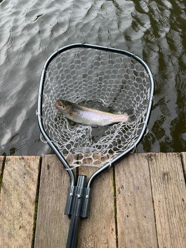 フィッシングサンクチュアリ