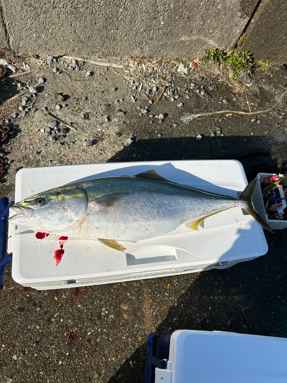 SHIMANO 18オシアジガー ∞ (インフィニティ) モーティブ B610-1の最