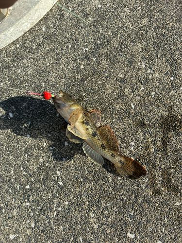 長良川揖斐川合流点