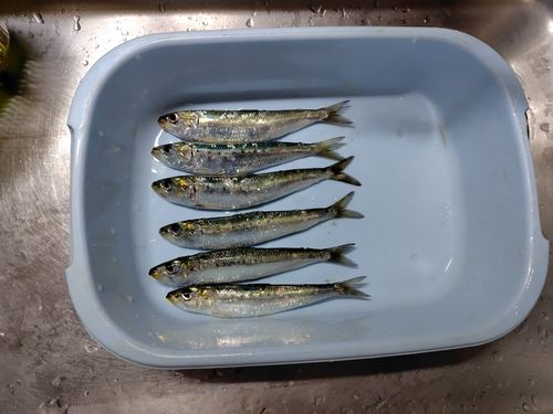 小名浜港アクアマリンふくしま周辺