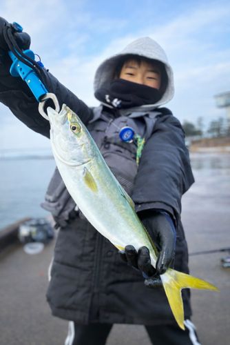 コゾクラの釣果