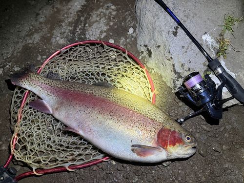 すそのフィッシングパーク