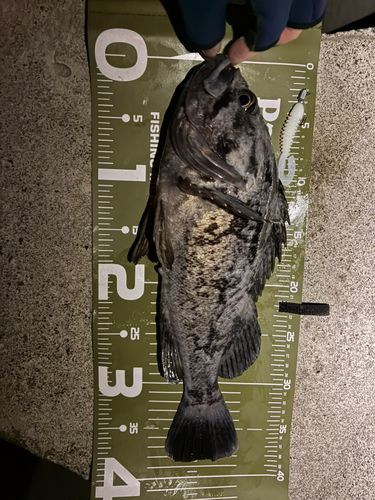 三陸海岸（宮城）