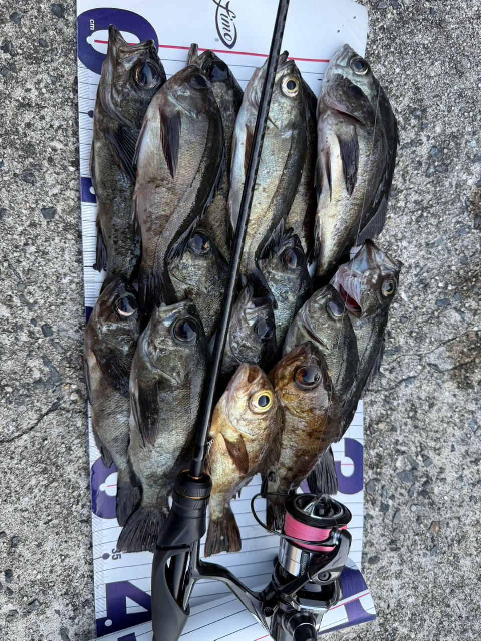 SHIMANO 21ソアレXR S64UL+-Sの最安値・インプレ・釣果 | 本音の口コミ