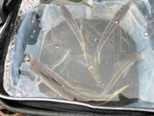 本牧海づり施設