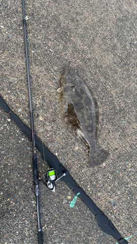 大野お台場公園前