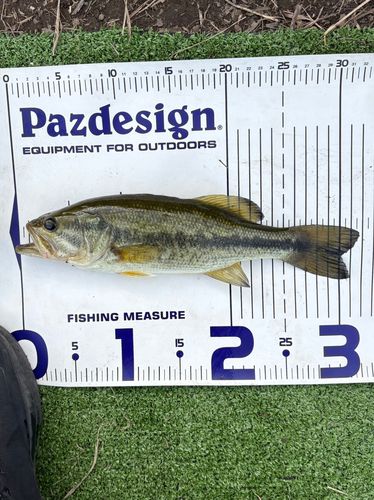 相模川緑地公園