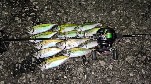 周防大島（屋代島）