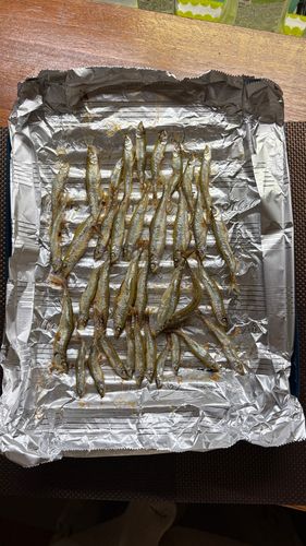 野尻湖（長野）