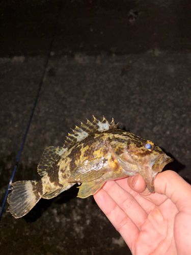 東部浄化センター（広島市）