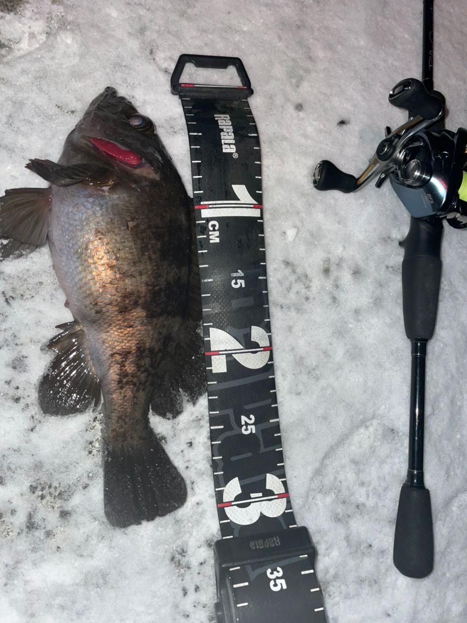 SHIMANO 22アルデバラン BFS XG LEFTの最安値・インプレ・釣果 | 本音