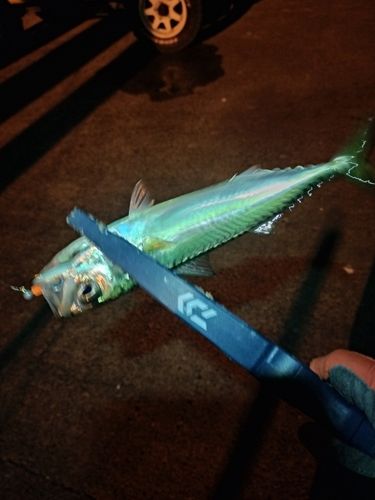 忠岡木材コンビナート