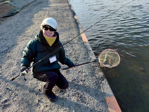 ニジマスの釣果