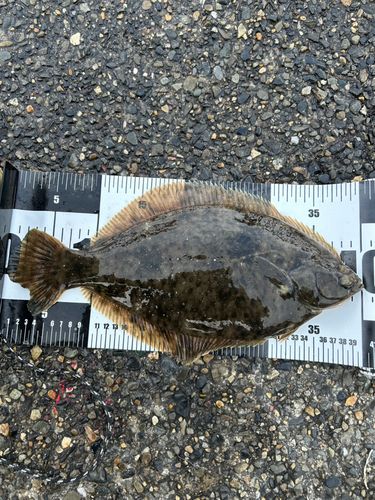 東京ゲートブリッジ付近