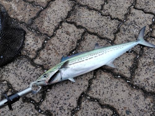 鞠山海遊パーク