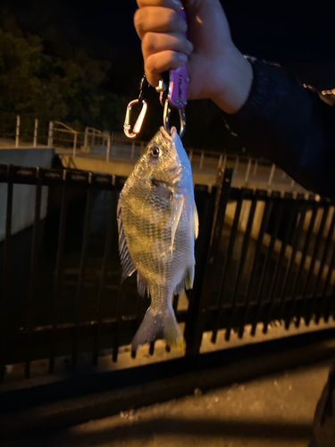 碧南海釣り公園