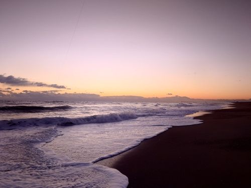 セイゴ（マルスズキ）の釣果